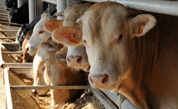 02695d39 8ab1 4eee b7fc b4f891ecda01