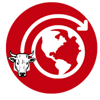 Expansion à l’export