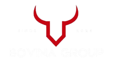 whatsapp image 2025 10 03 at 15.21.32 1 removebg preview